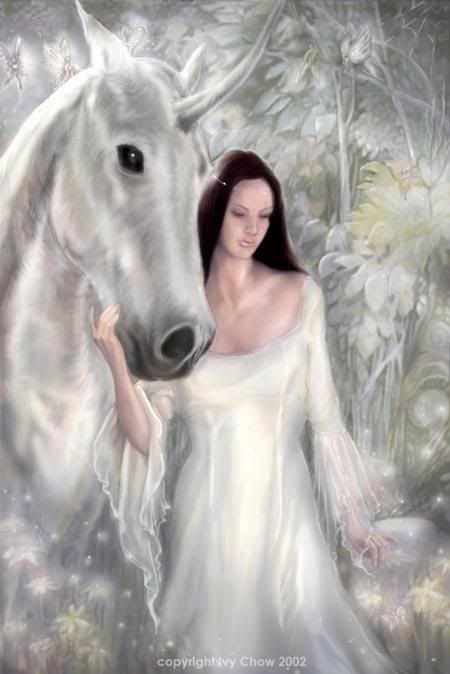 fantsay photo: white horse fantsay horses2.jpg