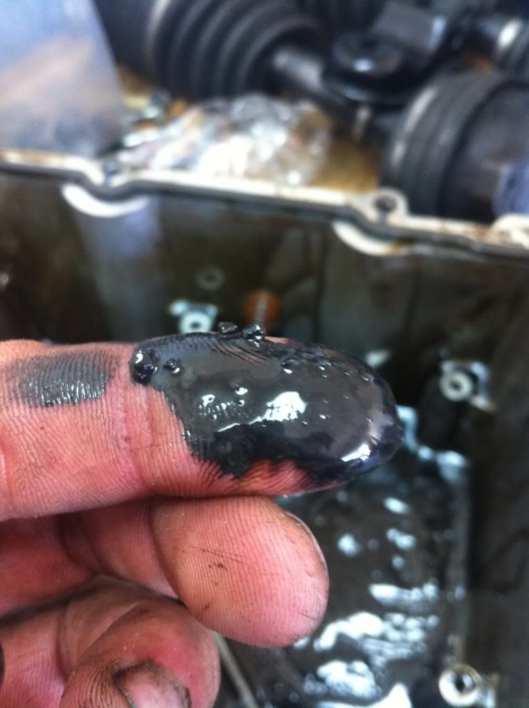 193F118C-40D1-4C8A-A6A2-6546CA3CF417-340