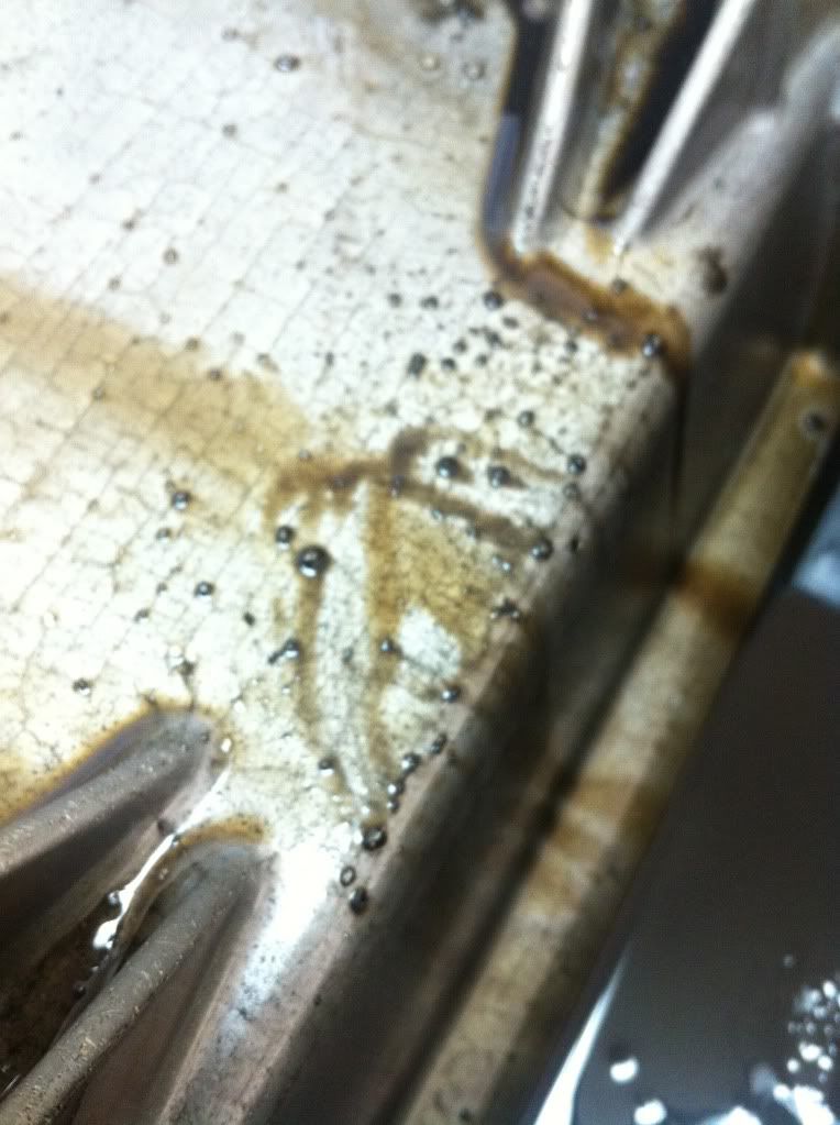 1A02AA27-24A3-452A-859A-09E7CC893ACC-340