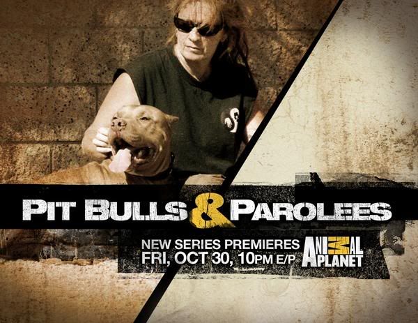 pitbulls and parolees cast. pitbulls n parolees