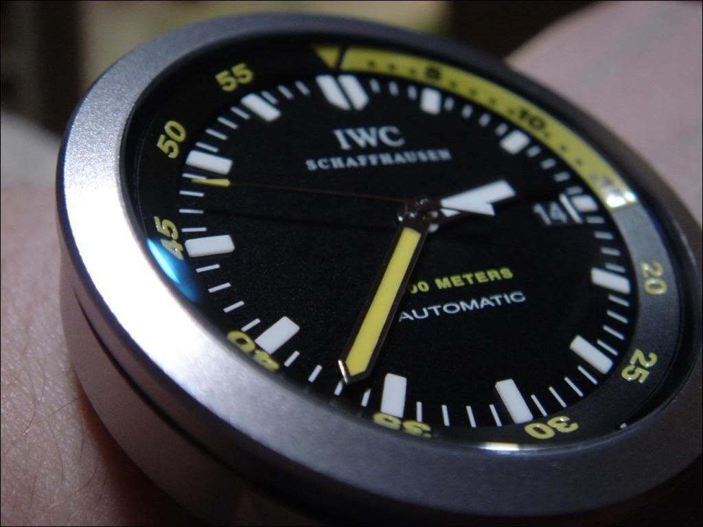 i484.photobucket.com/albums/rr210/Mat-Vill/IWC/darkAT.jpg
