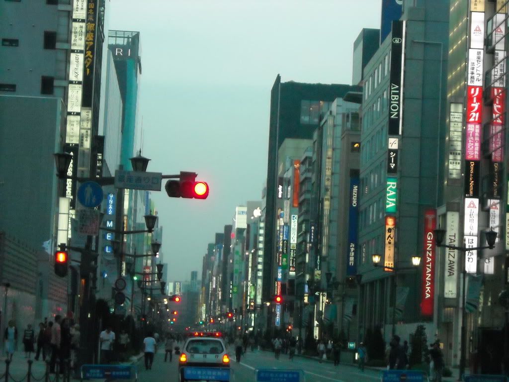 Leaving anime paradise