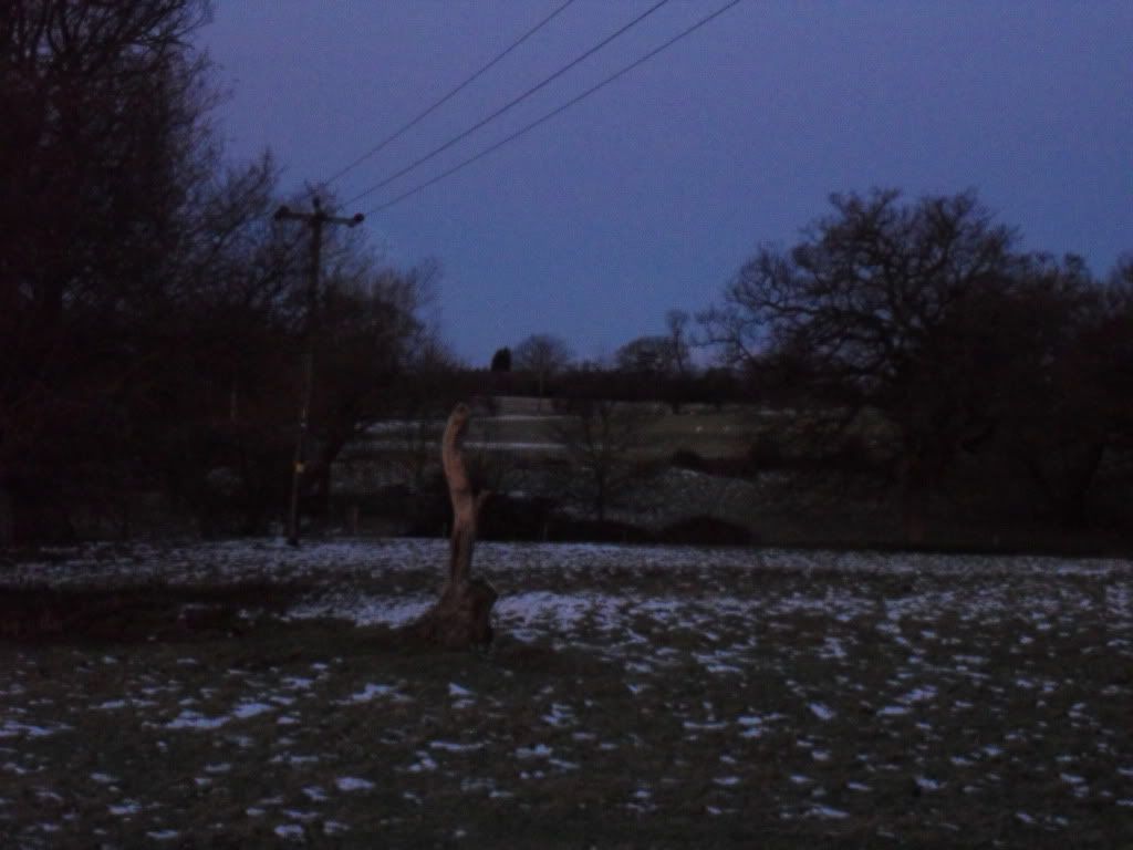 002-3.jpg