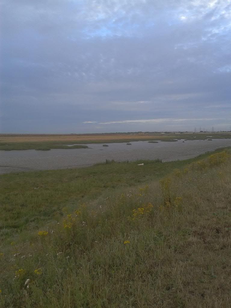065_zpsd085f71c.jpg