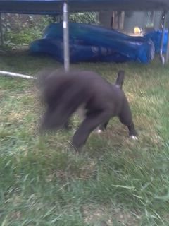 089_zpsde203e9c.jpg
