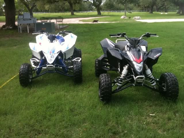 2008 LTR-450 Limited Edition