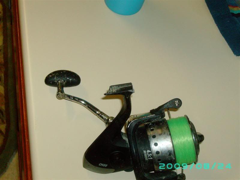 catmaxx spinning combo