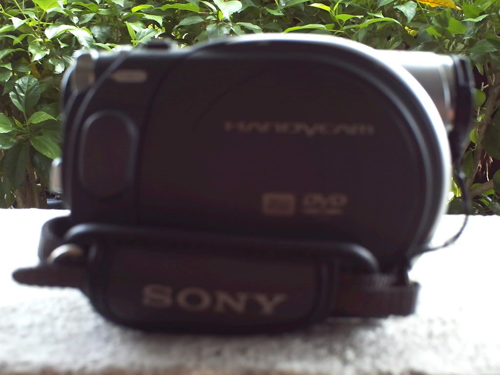 PICT0180.jpg